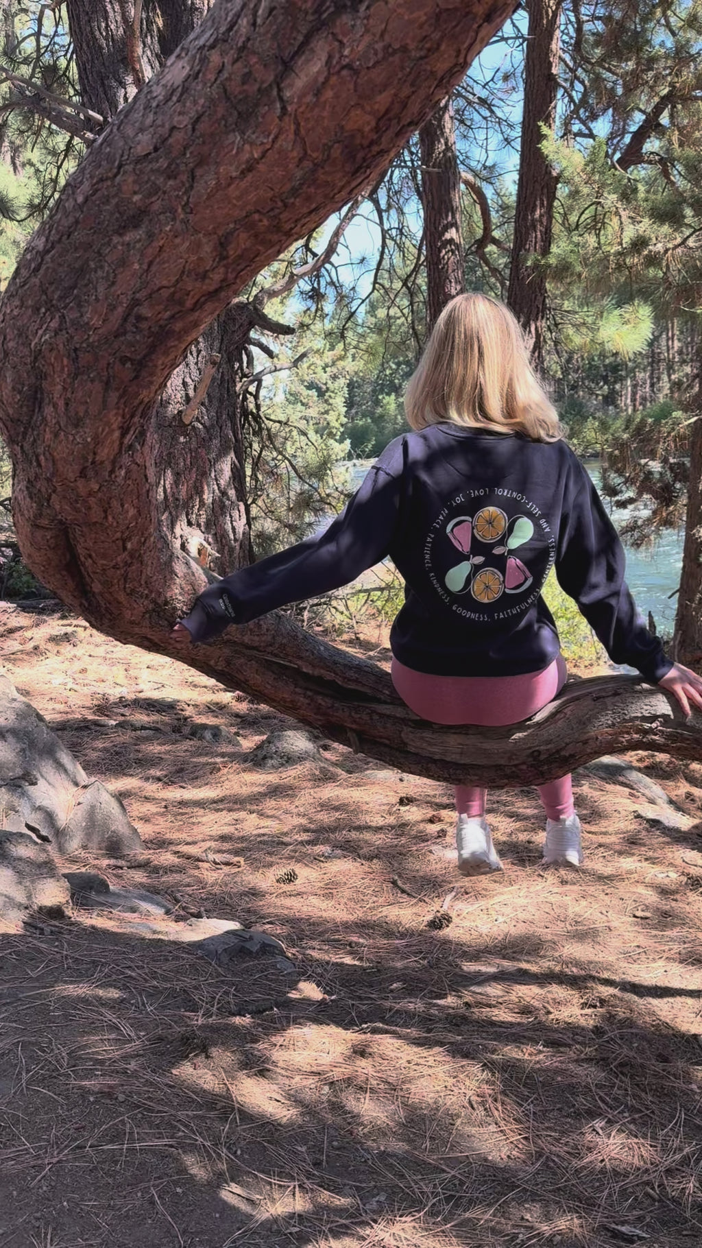 Galatians 5:22 - 23 | Unisex Premium Sweatshirt | Fruit Of The Spirit