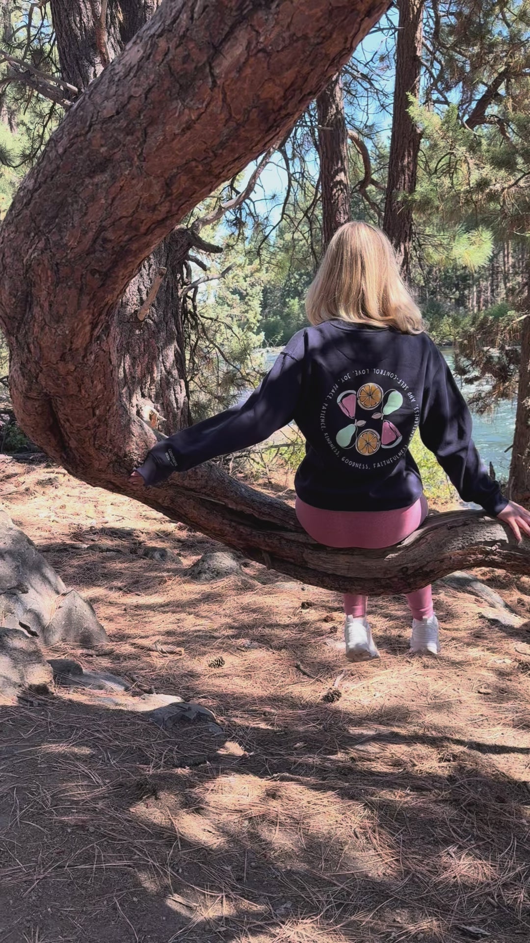 Galatians 5:22 - 23 | Unisex Premium Sweatshirt | Fruit Of The Spirit